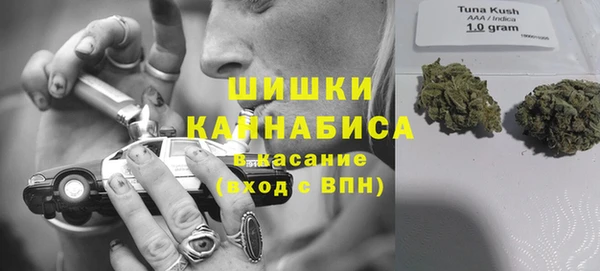 тгк Алексин