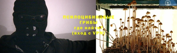 гашик Алзамай
