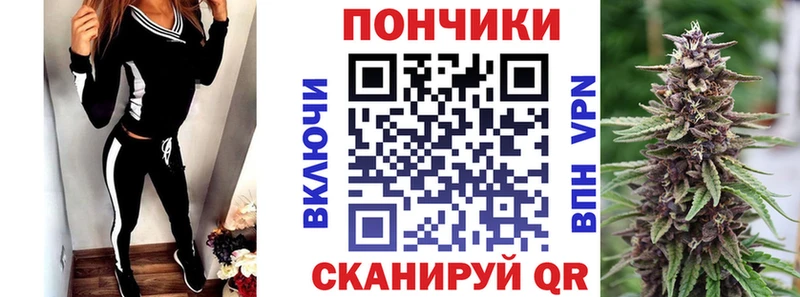 Бошки Шишки марихуана  гидра зеркало  Сортавала 
